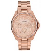 Fossil  AM4483