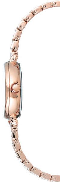 Anne Klein Crystal 2662SVRG