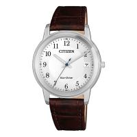 Citizen Eco Drive FE6011-14A