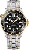 Omega Seamaster Diver 210.20.42.20.01.002