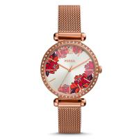 Fossil Tillie BQ3648