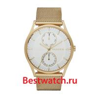 Skagen Mesh SKW6173