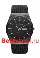 Skagen Mesh SKW6006
