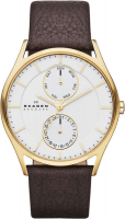 Skagen Leather SKW6066