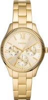 Fossil Rye BQ3692