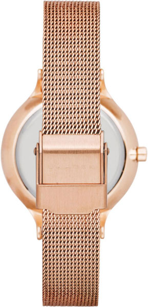 Skagen Mesh SKW2151