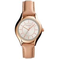 Fossil Daydreamer BQ1596IE