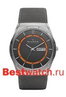 Skagen Mesh SKW6007