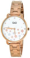 Q&Q Casual QZ79-001