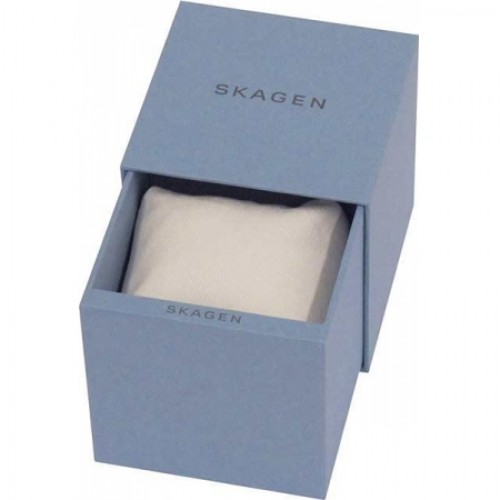 Skagen Steel SKW2050