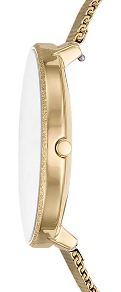 Skagen Karolina SKW2722