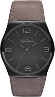 Skagen SKW6041