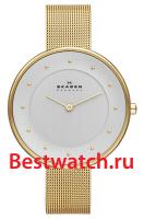 Skagen Mesh SKW2141