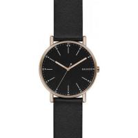 Skagen  SKW6401