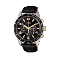 Citizen Basic AN8166-05E
