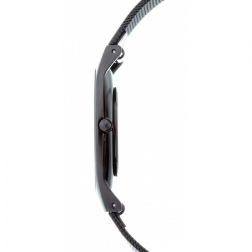 Skagen Titanium 233LTMB