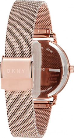 DKNY Modernist NY2817