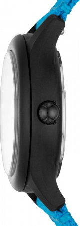 Fossil Curator LE1112