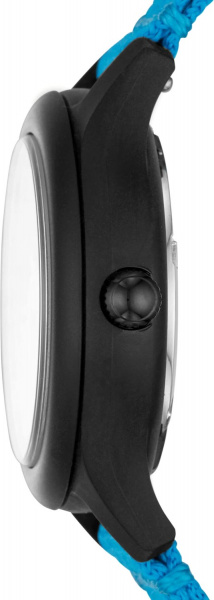 Fossil Curator LE1112