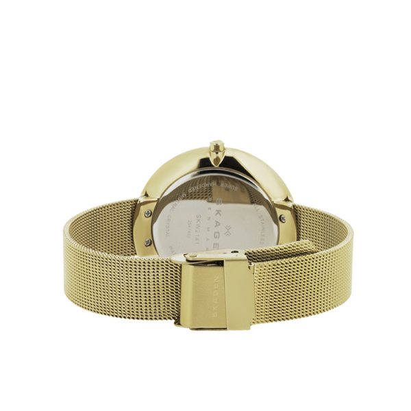 Skagen Mesh SKW2141