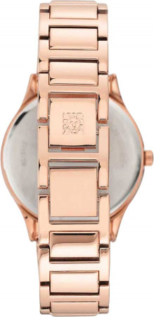 Anne Klein Crystal 3416BYRG