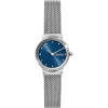 Skagen Mesh SKW2920