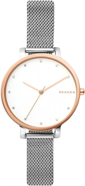 Skagen Mesh SKW2662