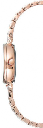 Anne Klein Crystal 2662SVRG