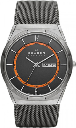 Skagen Mesh SKW6007