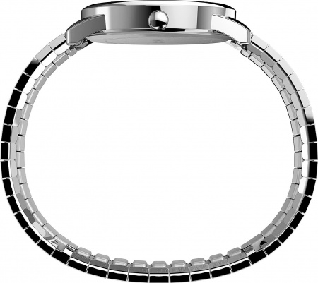 Timex Easy Reader TW2V05500