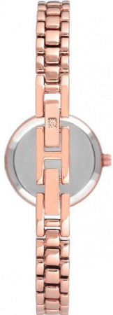 Anne Klein Crystal 2662SVRG