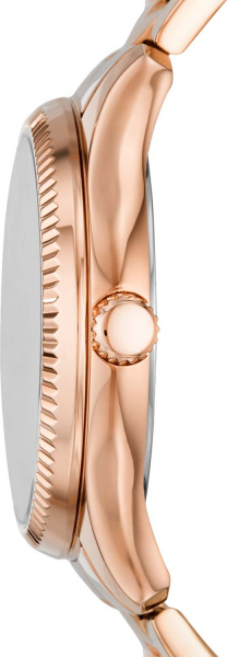 Fossil Rye BQ3691