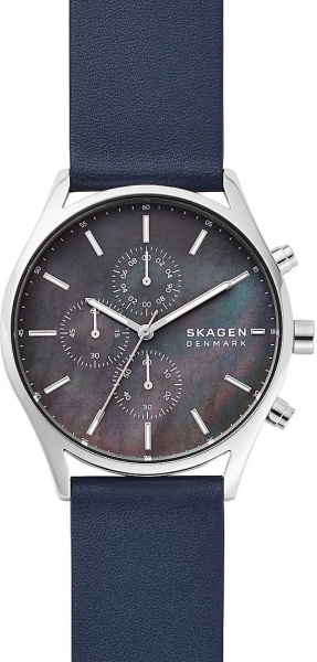 Skagen Leather SKW6653