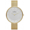 Skagen Mesh SKW2141