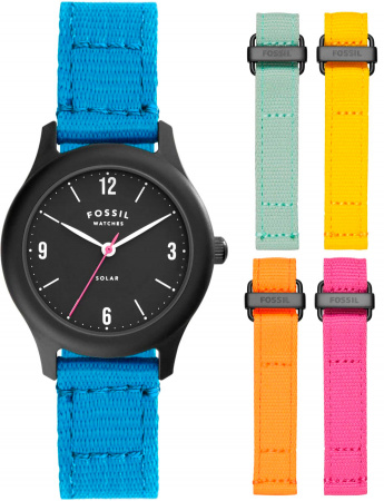 Fossil Curator LE1112