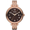Fossil  AM4389