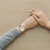 Skagen Karolina SKW2726