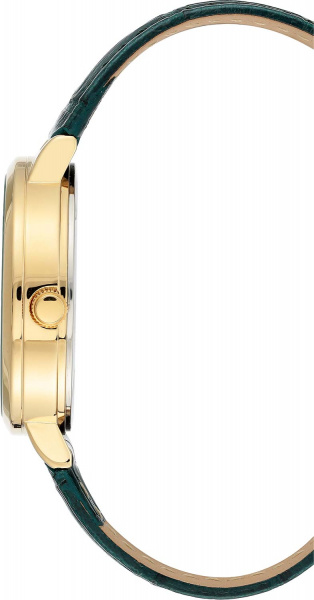 Anne Klein Daily 3824GNGN