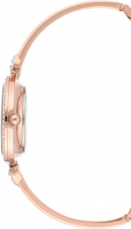 Anne Klein Time to Charme 3466RGST