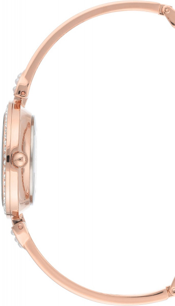 Anne Klein Time to Charme 3466RGST