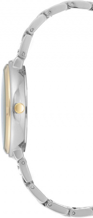 Anne Klein Daily 3169SVTT