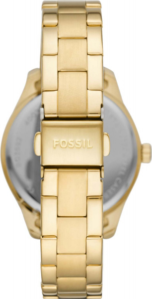 Fossil Rye BQ3692