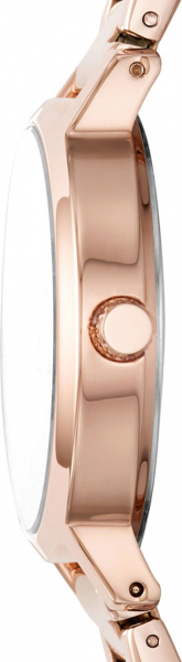 DKNY Modernist NY2839
