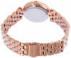 Michael Kors Darci MK3832