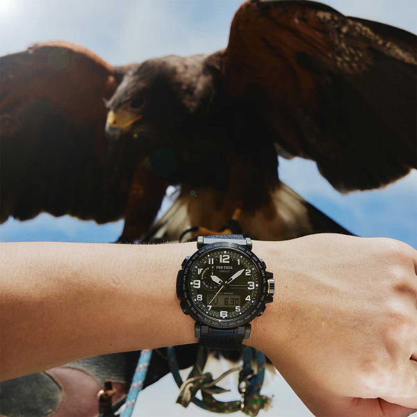 Casio Pro Trek PRG-601YB-3D