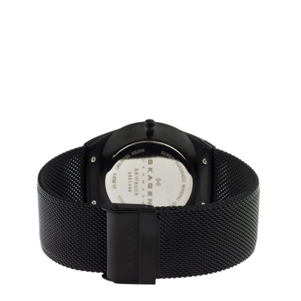 Skagen Mesh SKW6006