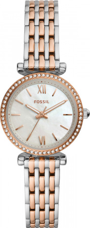 Fossil Carlie Mini ES4649