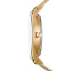 Skagen Mesh SKW6173