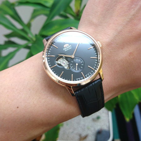 Orient Automatic RA-AR0103B