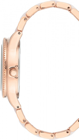 Anne Klein Daily 3770WTRG
